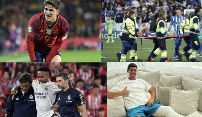 这一会议的 这一会议的